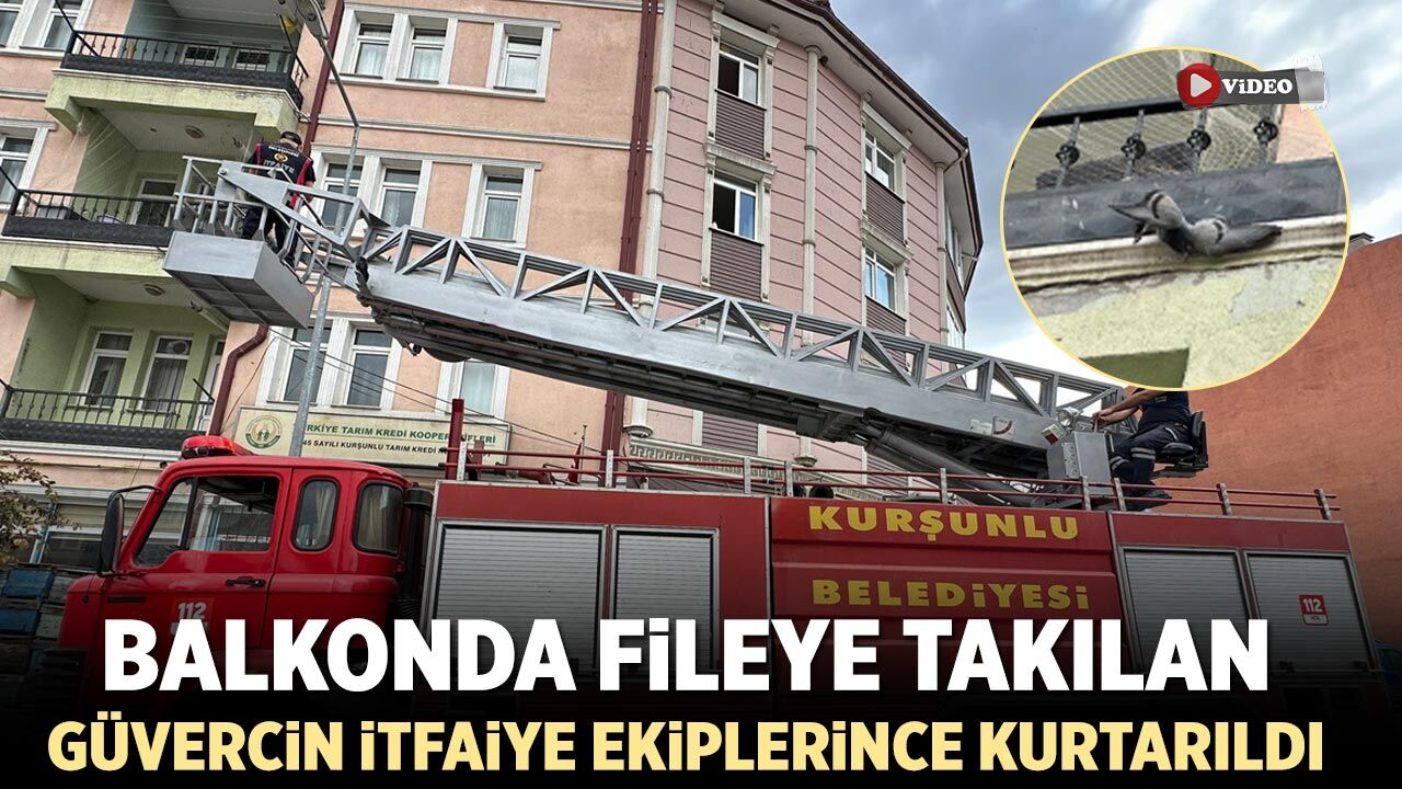 Balkonda fileye takılan güvercin itfaiye ekiplerince kurtarıldı