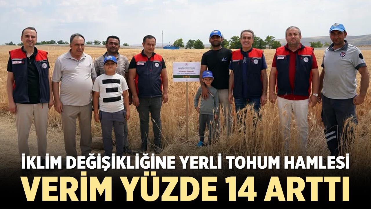 Çankırı'da yerli tohumlar sınavı başarıyla geçti