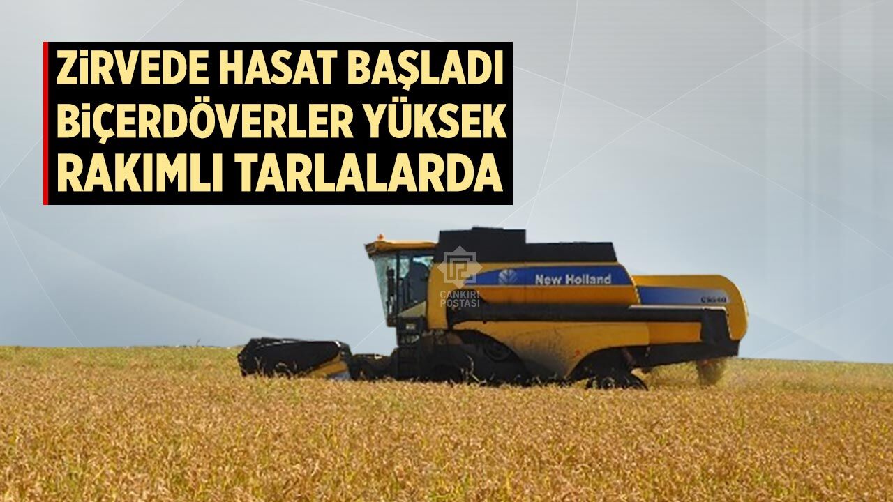 Çankırı'nın zirvesinde hasat başladı