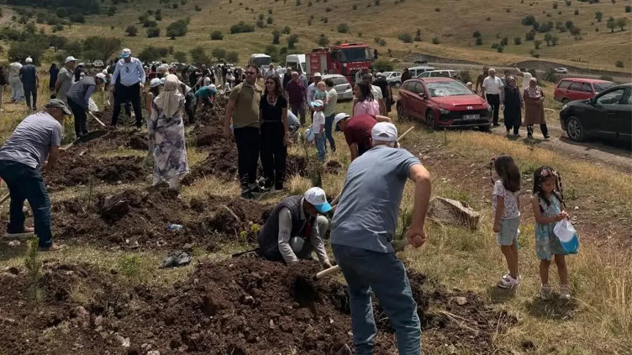 Sacakın 36Yili Yesil Bir Mirasa Dönüstü5