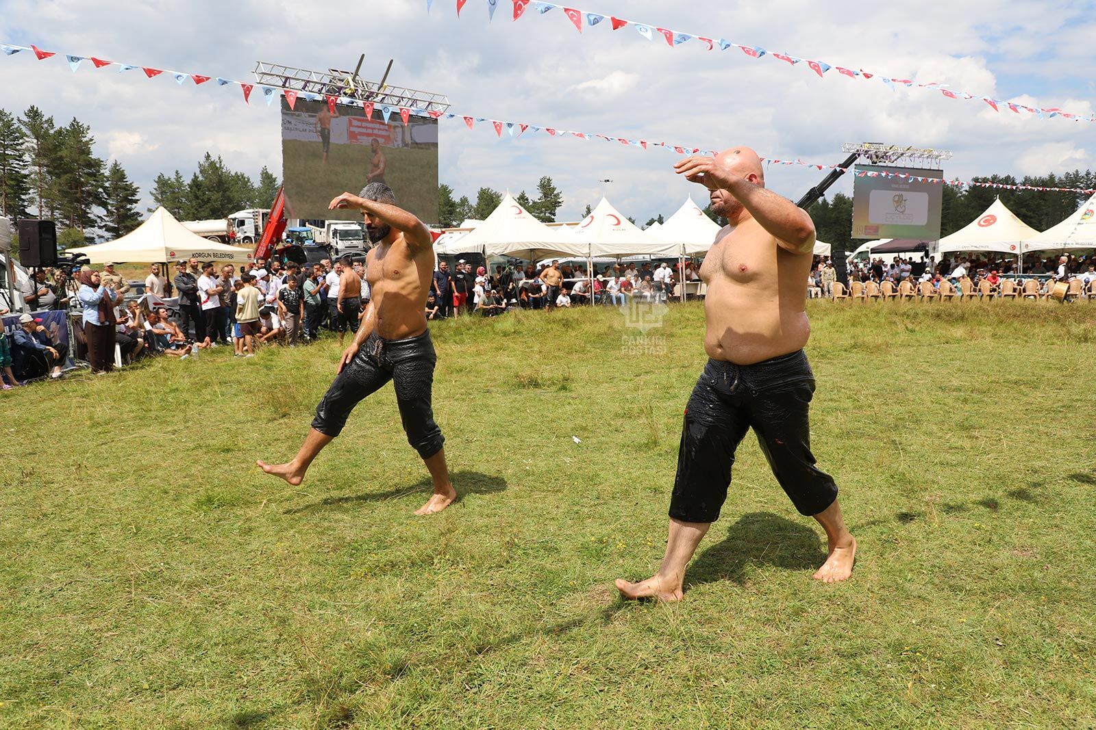 I M G 1276