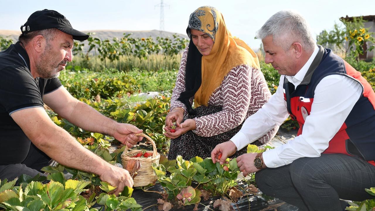 EKONOMİ