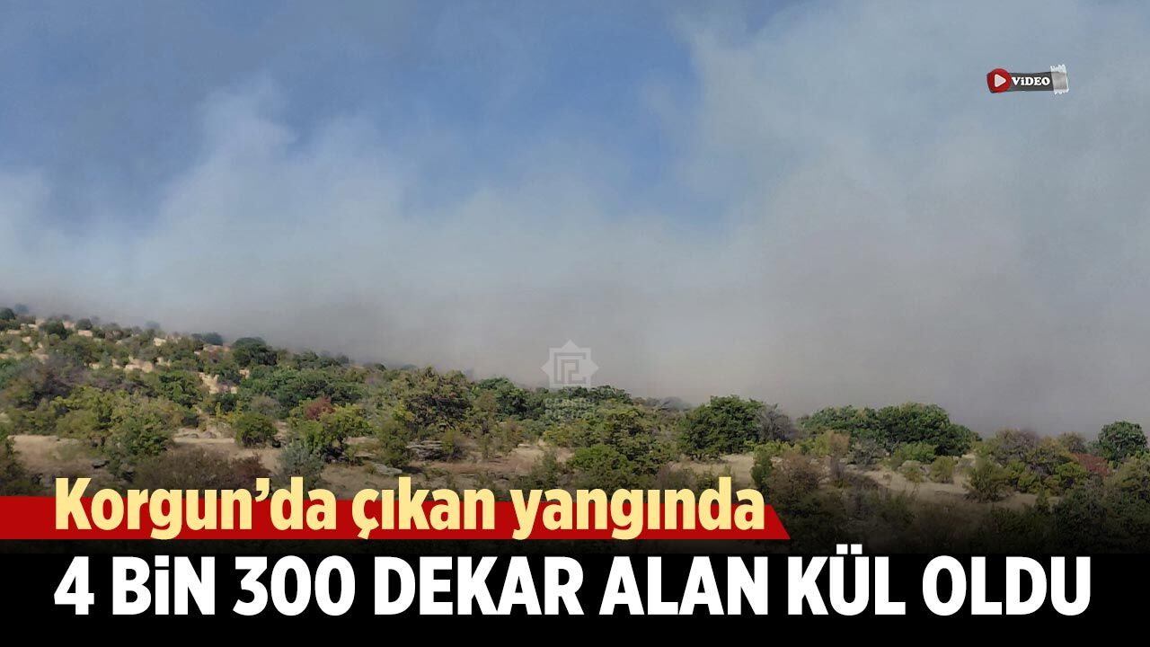 Korgun’da çıkan yangında 4 bin 300 dekar alan kül oldu