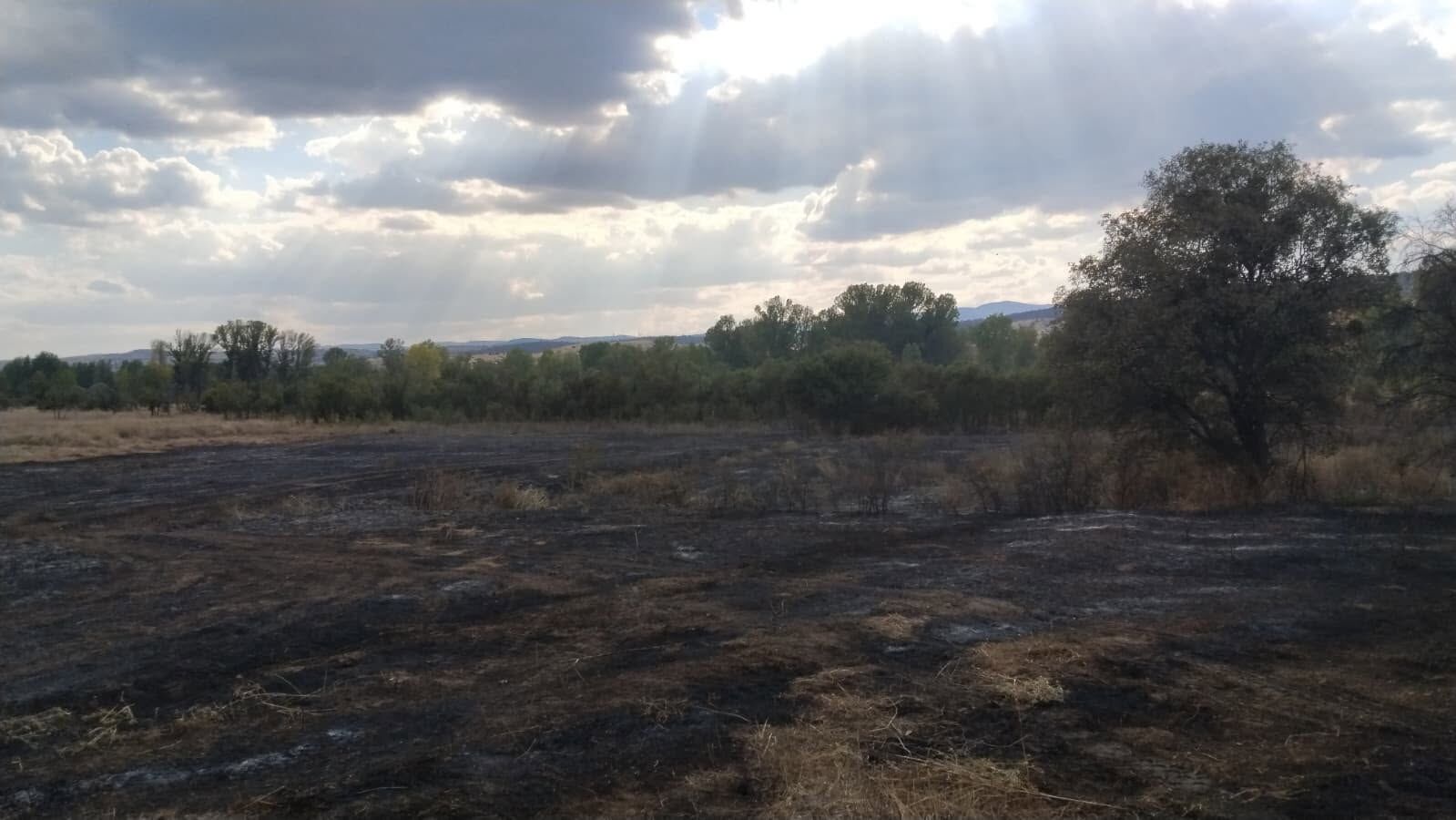 Korgun Alpsari Otluk Yangini1