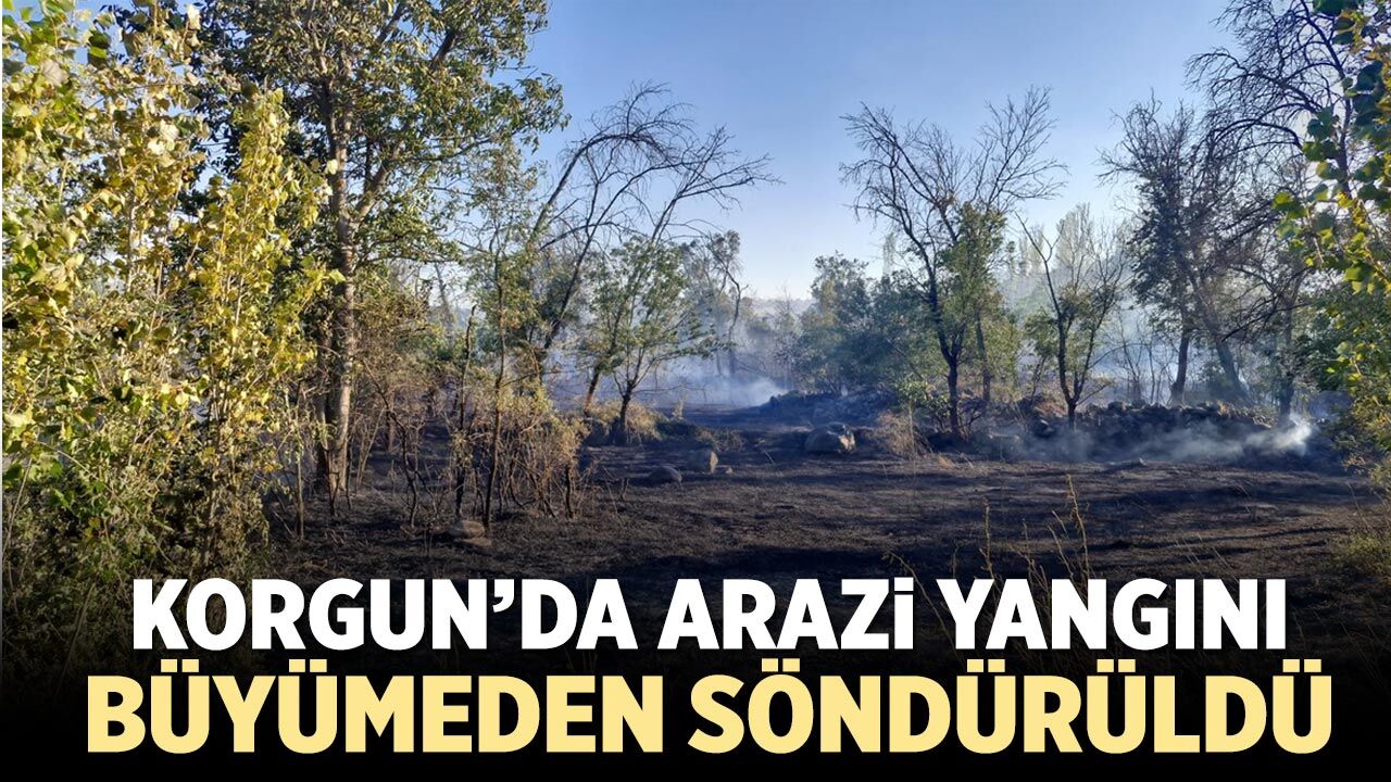 Korgun’da arazi yangını büyümeden söndürüldü