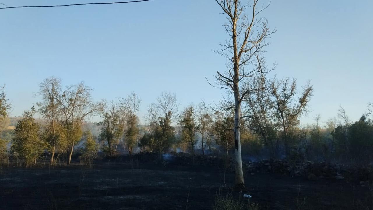 Korgunda Arazi Yangini Büyümeden Söndürüldü1