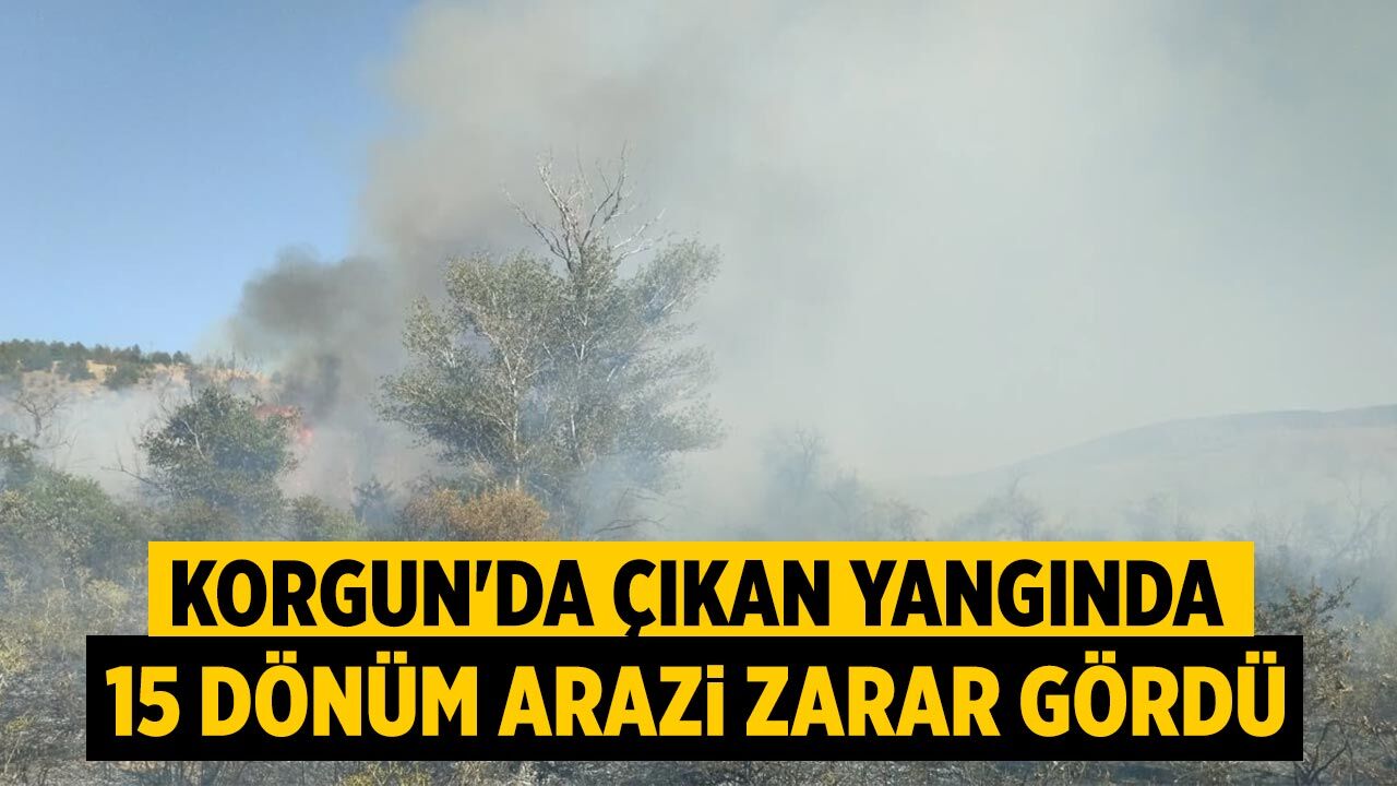 Korgun'da çıkan yangında 15 dönüm arazi zarar gördü