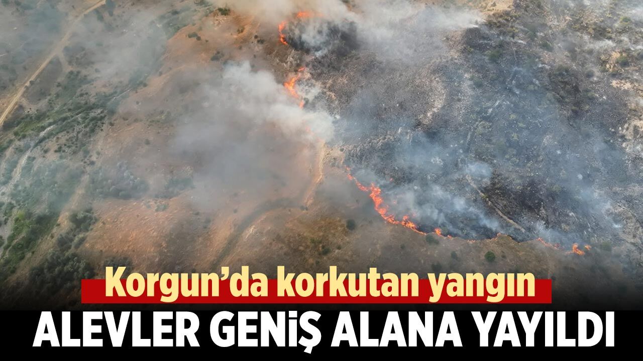 Korgun’da yangın paniği! Alevler geniş alana yayıldı