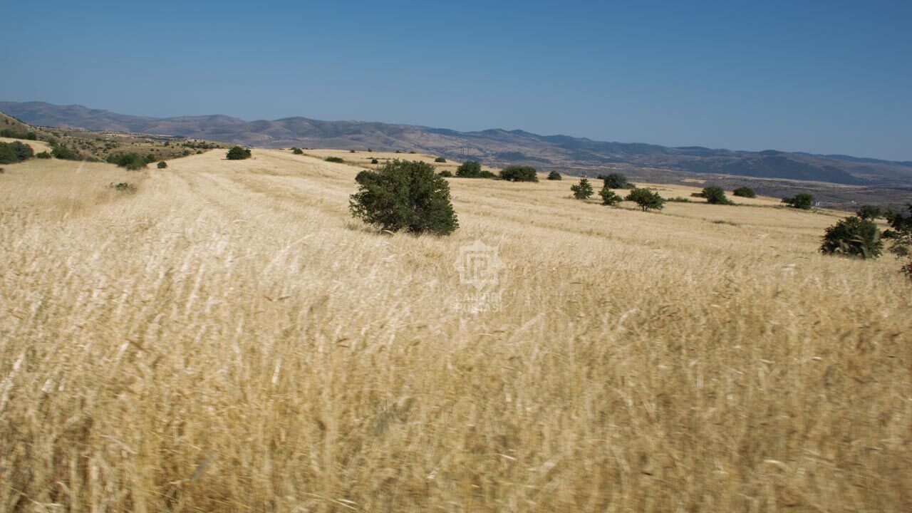 Kursunlu Ciftci 1