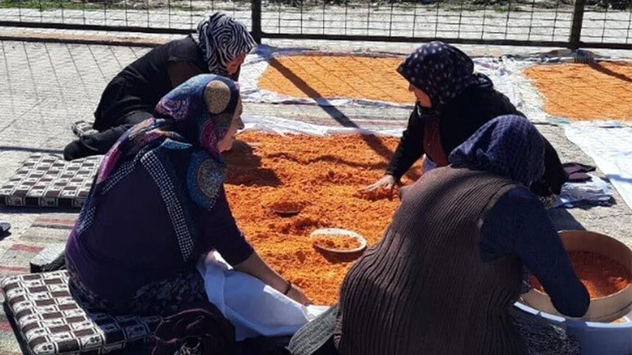 Cankirida Tarhana Mesaisi Basladi2