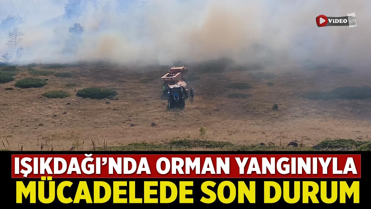 Işıkdağı’nda orman yangınıyla mücadelede son durum