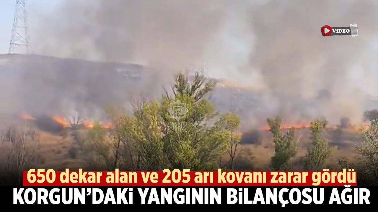 Korgun’daki yangının bilançosu ağır: 650 dekar alan ve 205 arı kovanı zarar gördü
