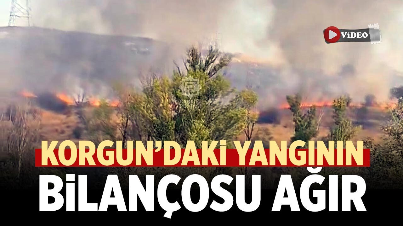 Korgun’daki yangının bilançosu ağır