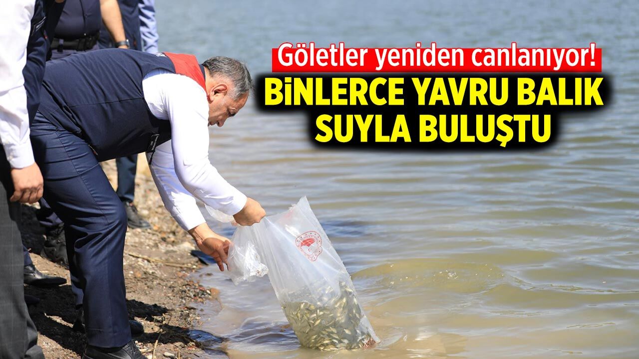 Çankırı’nın göletleri yeniden canlanıyor! Binlerce yavru balık suyla buluştu