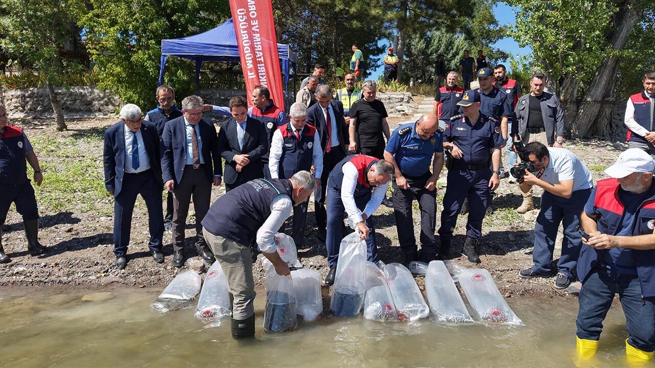 Binlerce Yavru Balik Suyla Bulustu1