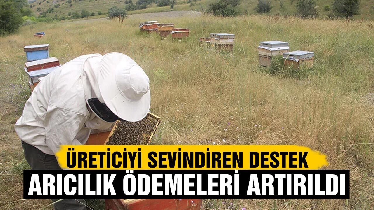 Üreticiyi sevindiren destek: Arıcılık ödemeleri artırıldı
