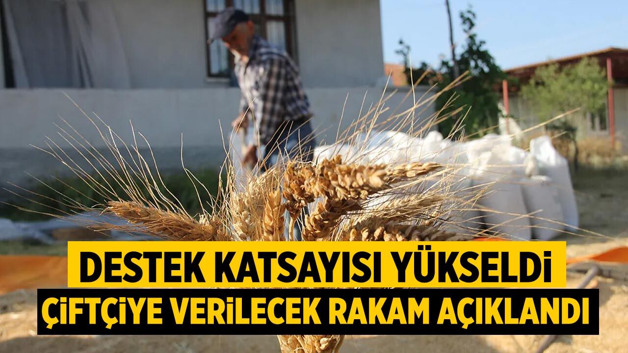 Çiftçiye destek katsayısında artış! Yeni rakam belli oldu