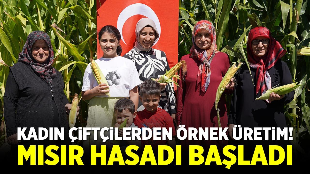 Korgun’da kadın çiftçilerden bereketli mısır hasadı