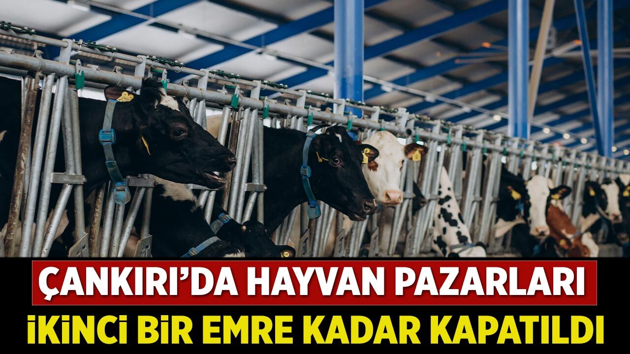 Çankırı’da hayvan pazarları ikinci bir emre kadar kapatıldı