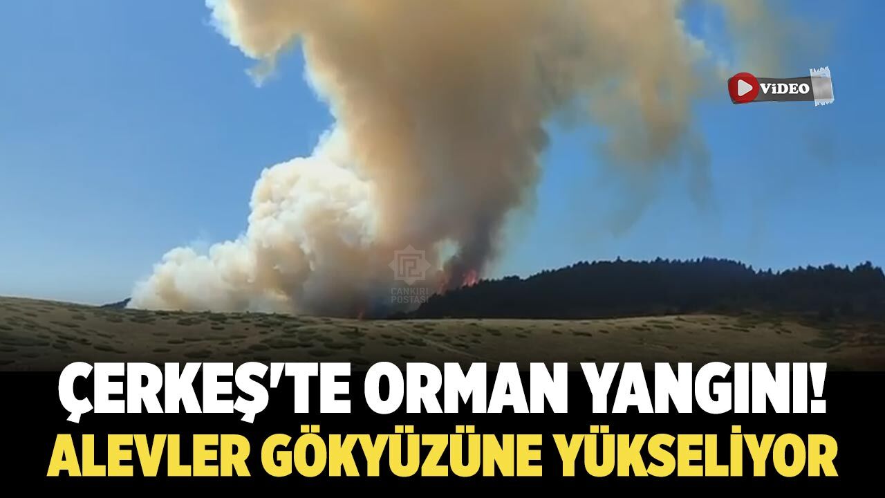 Çerkeş'te korkutan orman yangın! Alevler gökyüzüne yükseliyor