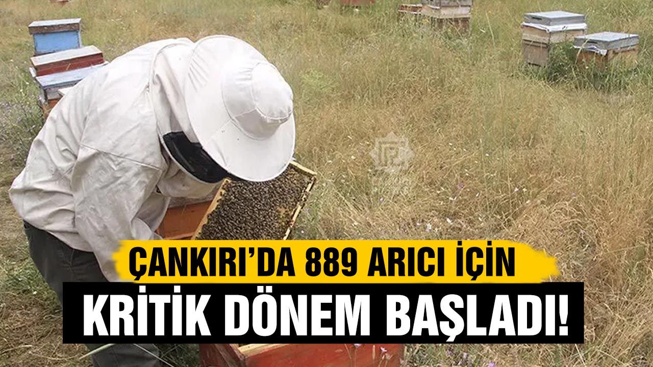 Çankırı’da 889 arıcı için kritik dönem başladı!