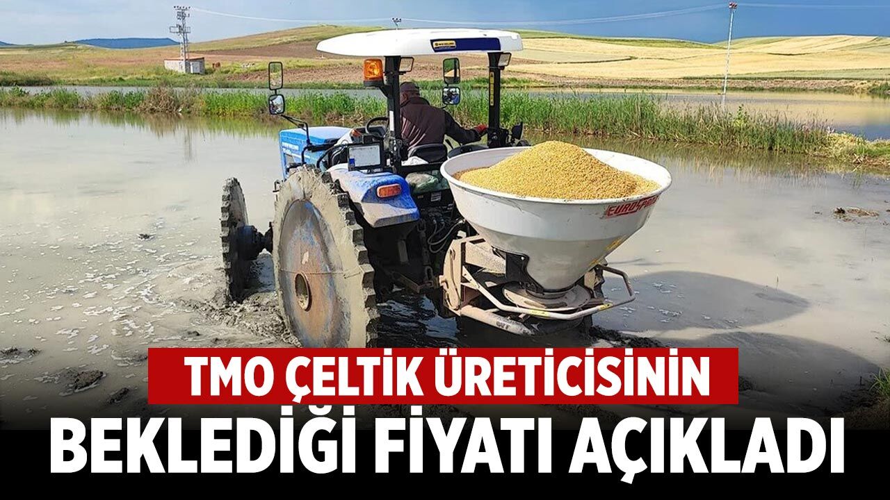 Çankırı'da çeltik üreticisinin beklediği fiyat açıklandı