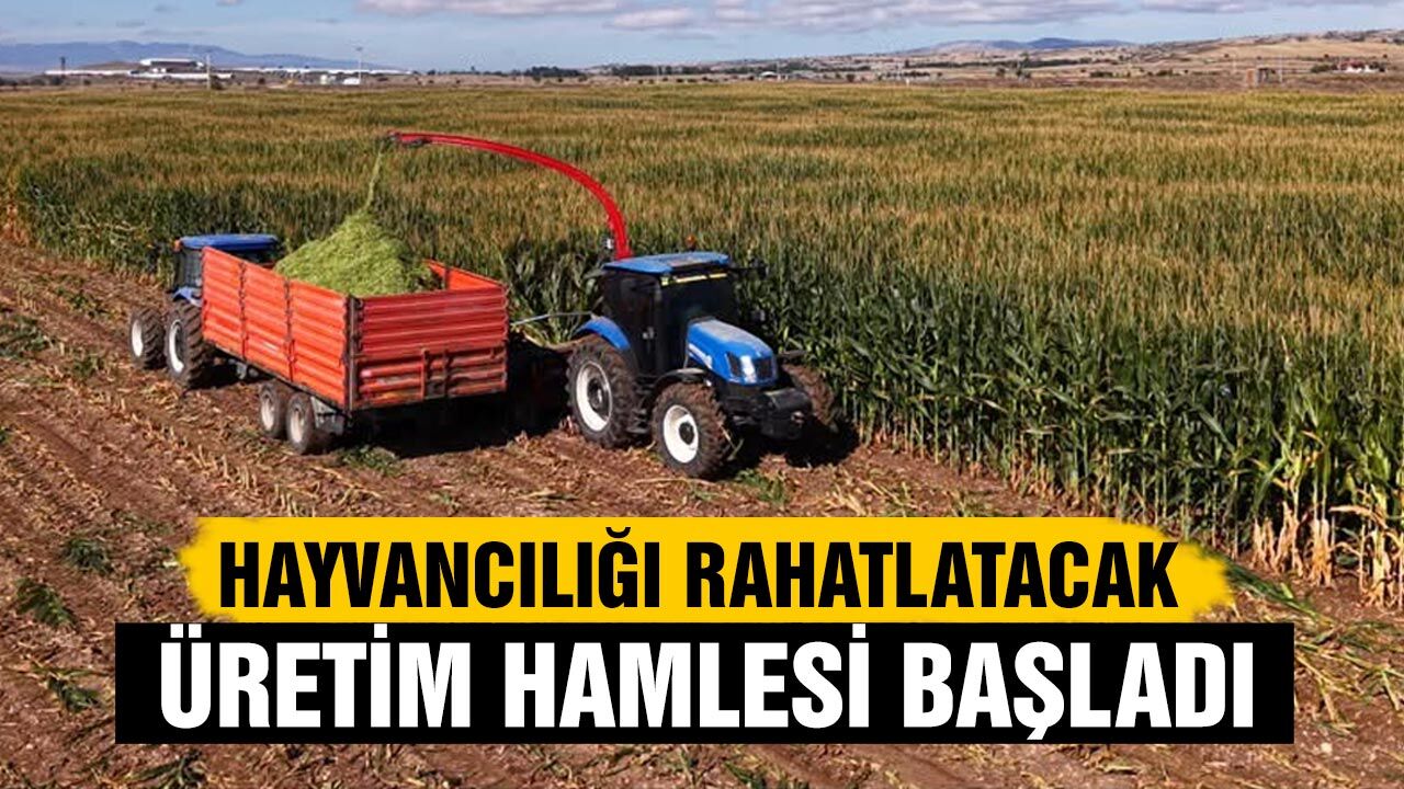 Çankırı’da hayvancılığı rahatlatacak üretim hamlesi başladı
