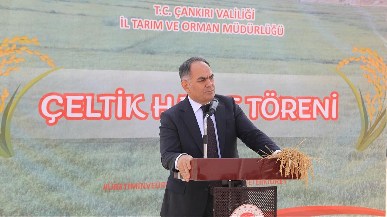 Kizilirmakta Celtik Hasadi Basladi
