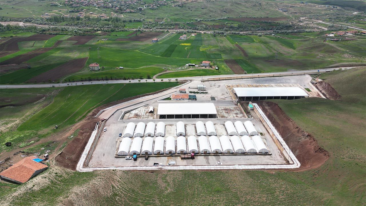 Çankırı’da hayvan pazarları yeniden açıldı