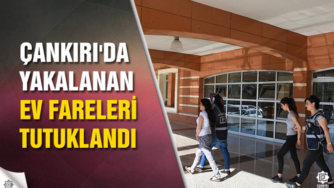 Çankırı'da yakalanan ev fareleri tutuklandı