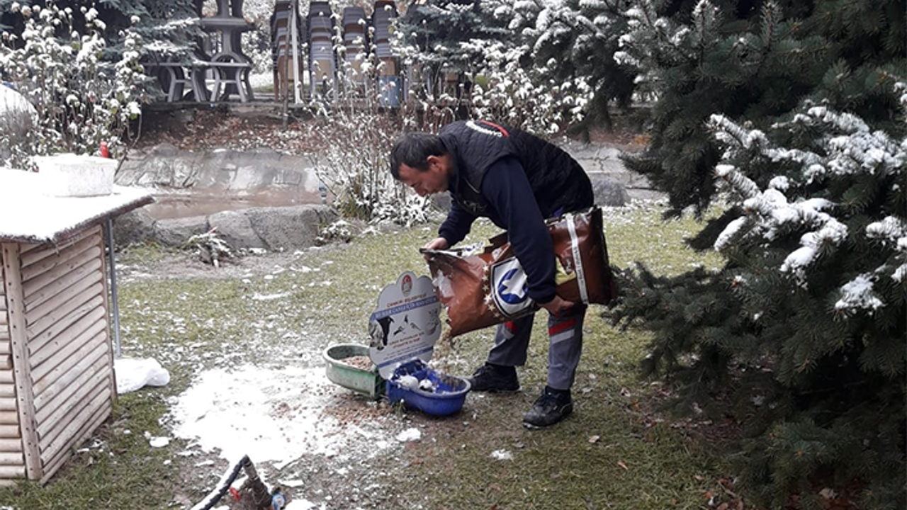 Çankırı’da Sokak Hayvanları İçin Kış Hazırlığı