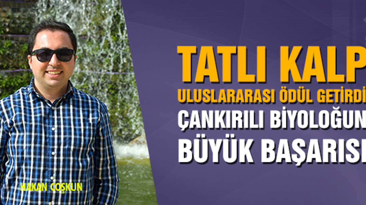 Uluslararası mikrograf yarışmasında birinci oldu