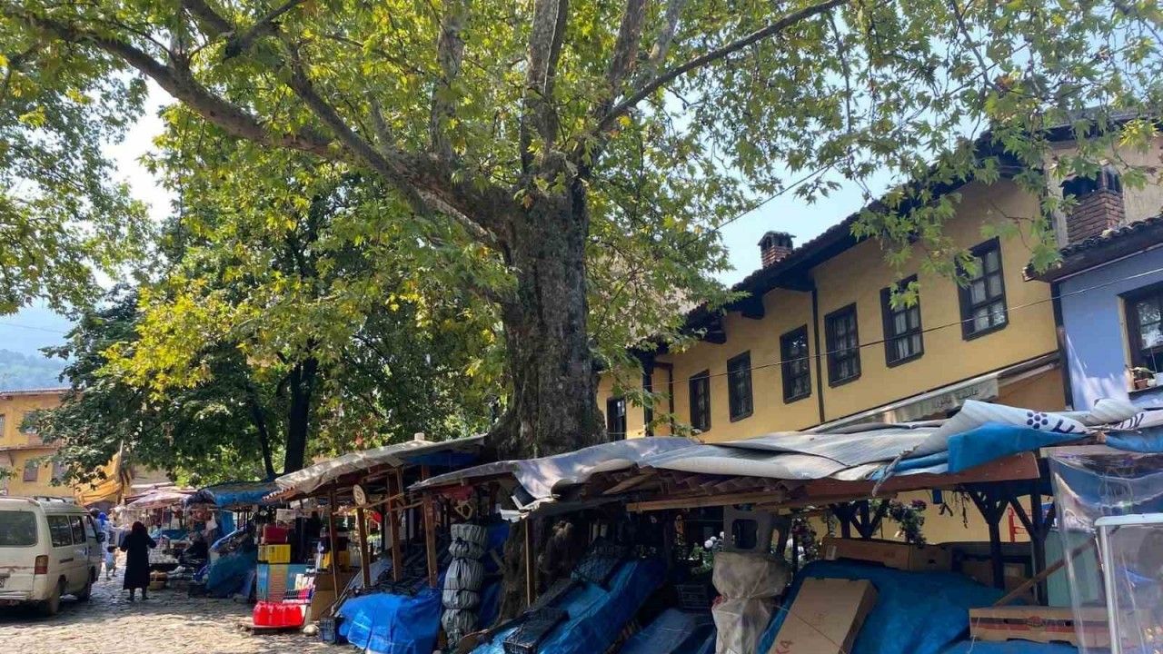 Unesco miras listesindeki 700 yıllık tarihi köye düzen geliyor