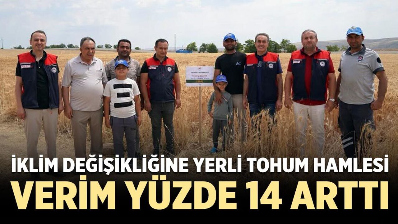 Çankırı'da yerli tohumlar sınavı başarıyla geçti