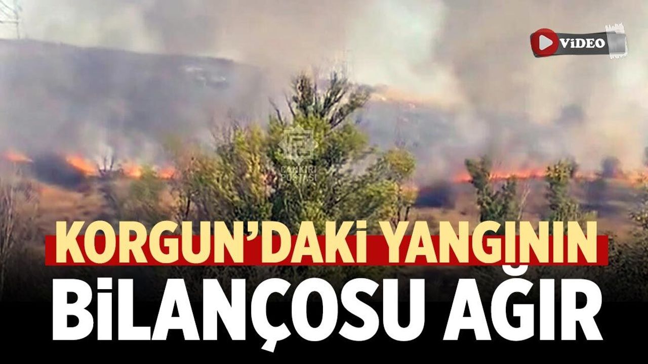 Korgun’daki yangının bilançosu ağır