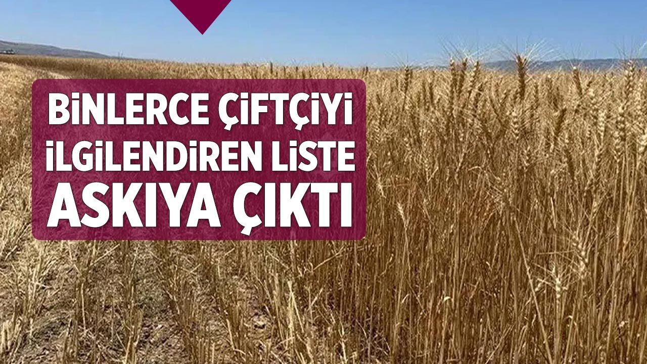 Çankırı’da binlerce çiftçiyi ilgilendiren liste askıya çıktı