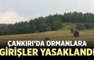Çankırı’da Ormanlara Giriş Yasaklandı!