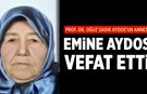 Prof. Dr. Oğuz Sadık Aydos’un annesi Emine Aydos hayatını kaybetti