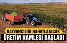 Çankırı’da hayvancılığı rahatlatacak üretim hamlesi başladı