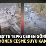 Çerkeş’te çeşme suyu yeşile döndü