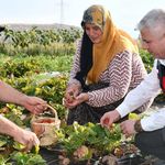 Yapraklı’da kırsal kalkınma meyvelerini veriyor