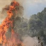 Korgun’da otluk alanda çıkan yangın kontrol altına alındı
