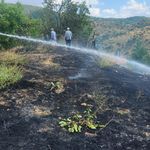 Korgun’da korkutan ot yangını büyümeden söndürüldü