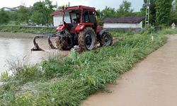 Ani bastıran dolu ve yağmur tarım arazilerini vurdu
