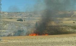 Çankırı'da ekinler yandı