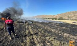 Çankırı'da arazi yangını
