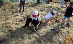 Çankırı'da çocuklar sevdiklerinin ismini fidanlara verdi