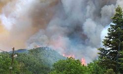 Milas’ta başlayan orman yangını büyüyor
