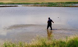 Çankırı'da kuraklık tehlikesi için uyarı: Çeltikte damla sulama sistemi kullanılmalı