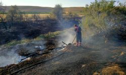 Çankırı'da arazi yangını: Her yer küle döndü